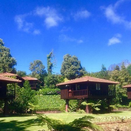 Quinta Das Eiras Santo Antonio da Serra Bagian luar foto