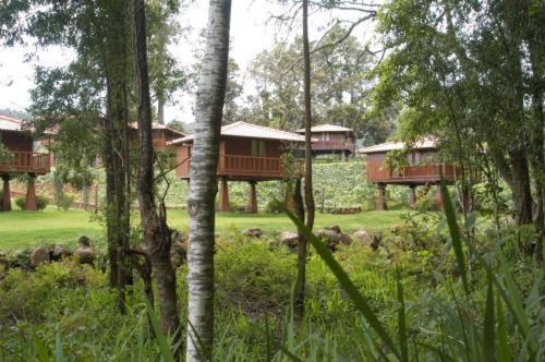 Quinta Das Eiras Santo Antonio da Serra Bagian luar foto