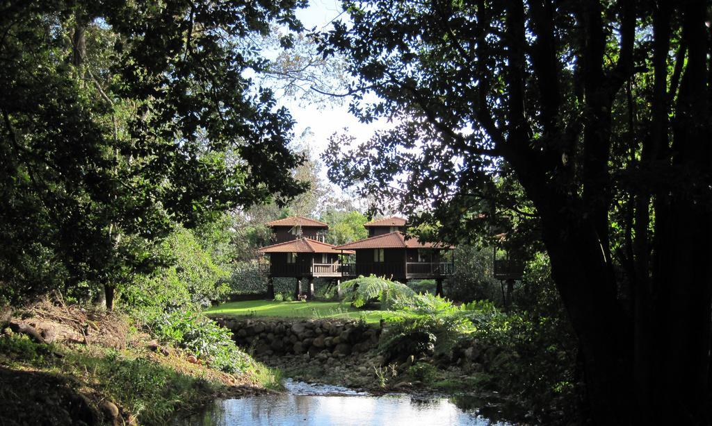 Quinta Das Eiras Hotel Santo Antonio da Serra Bagian luar foto