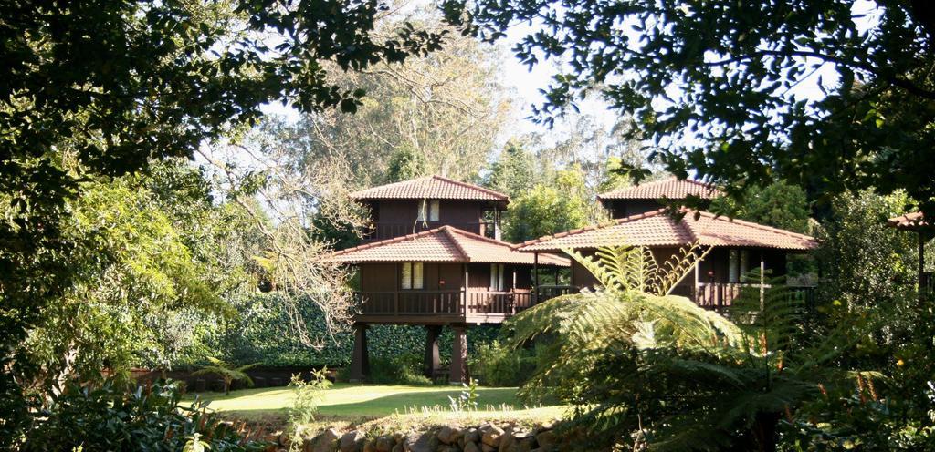 Quinta Das Eiras Santo Antonio da Serra Bagian luar foto