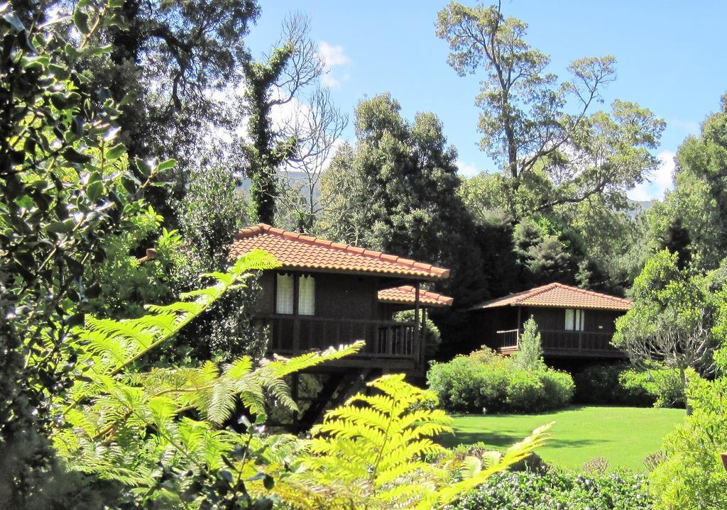 Quinta Das Eiras Santo Antonio da Serra Bagian luar foto