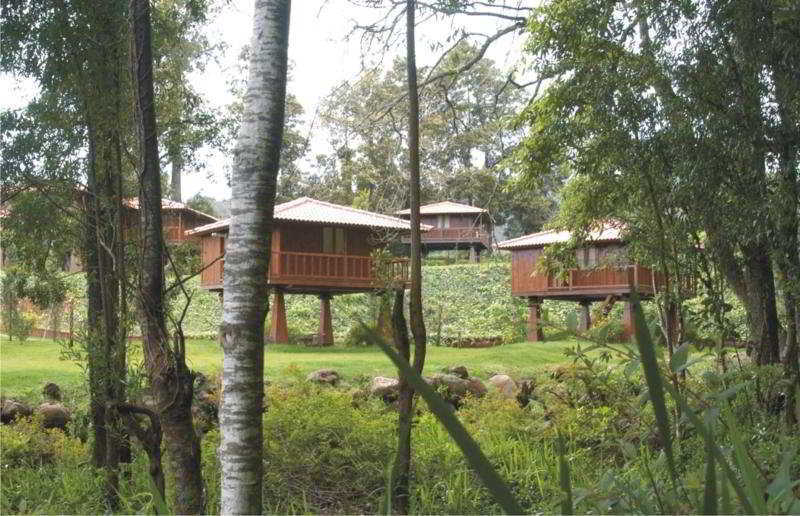 Quinta Das Eiras Santo Antonio da Serra Bagian luar foto