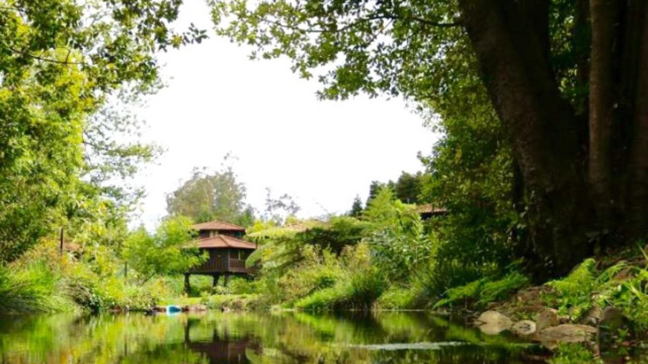 Quinta Das Eiras Santo Antonio da Serra Bagian luar foto