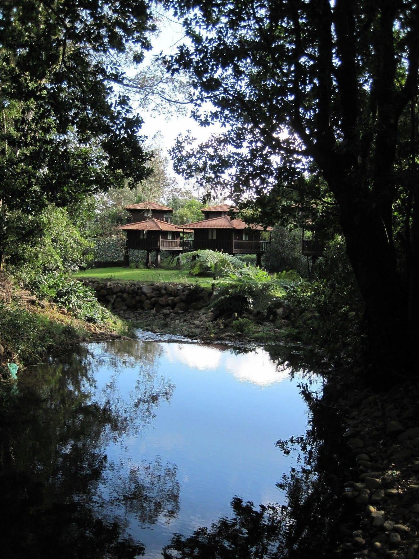 Quinta Das Eiras Santo Antonio da Serra Bagian luar foto
