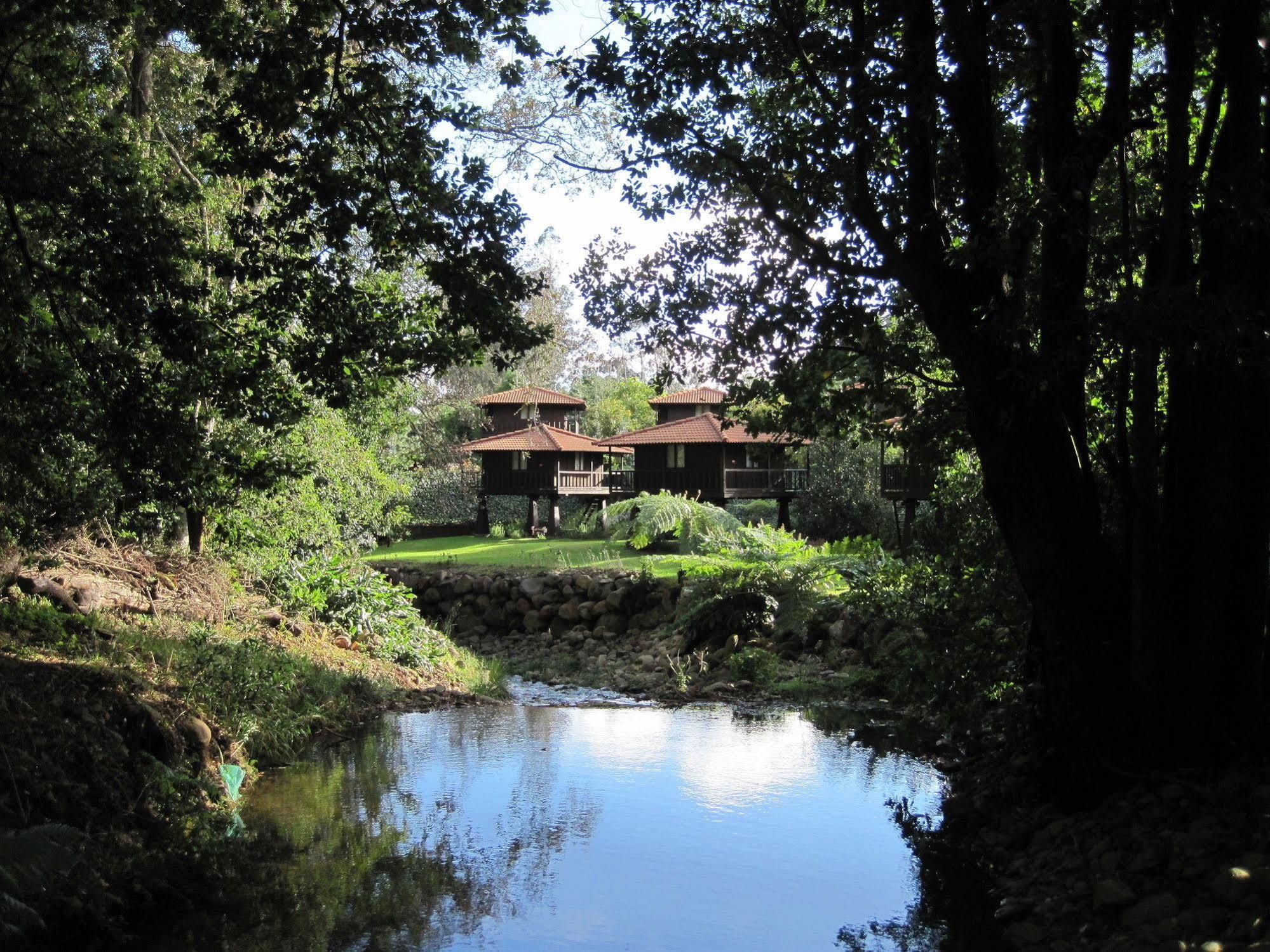 Quinta Das Eiras Hotel Santo Antonio da Serra Bagian luar foto