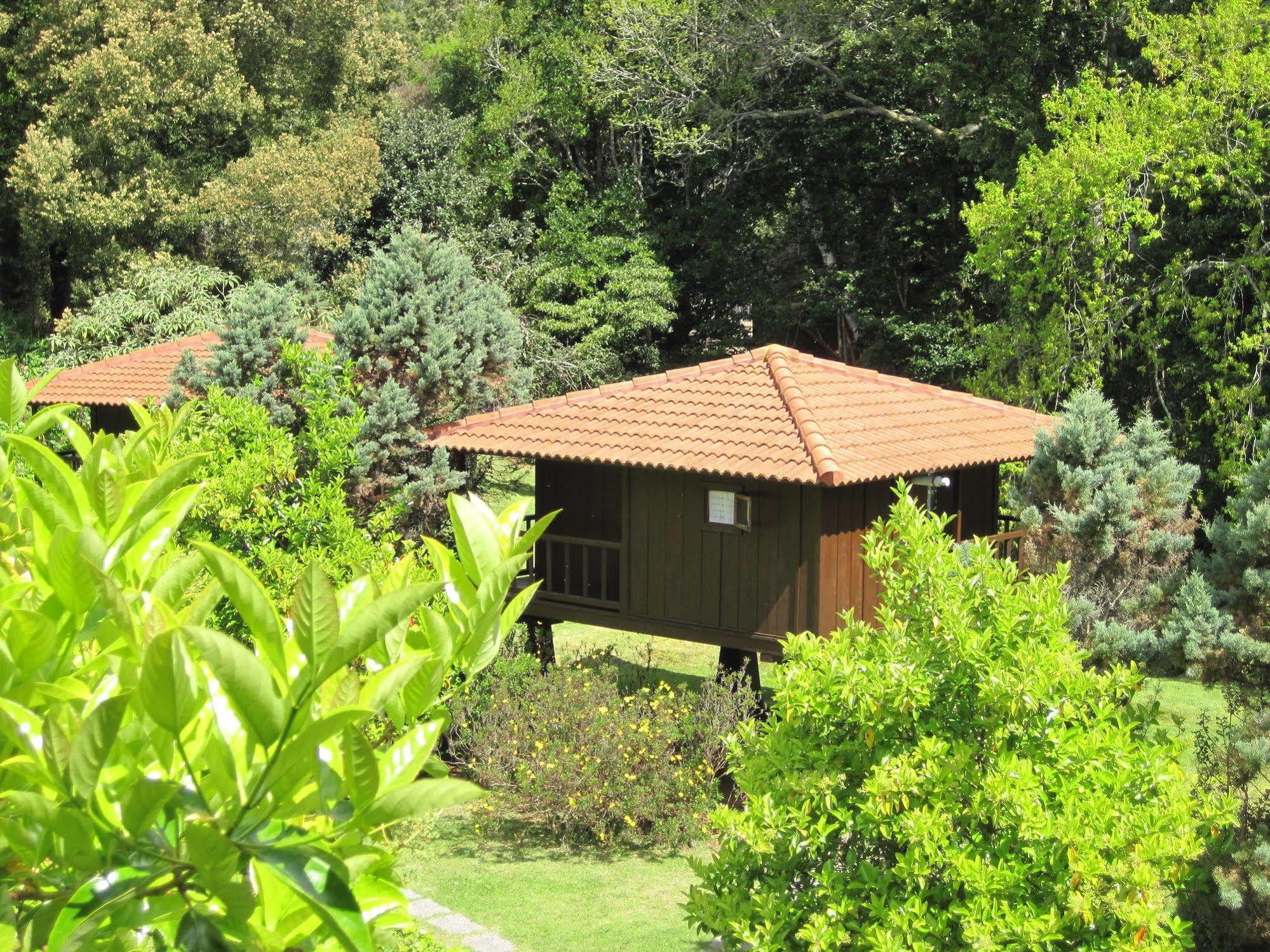 Quinta Das Eiras Hotel Santo Antonio da Serra Bagian luar foto