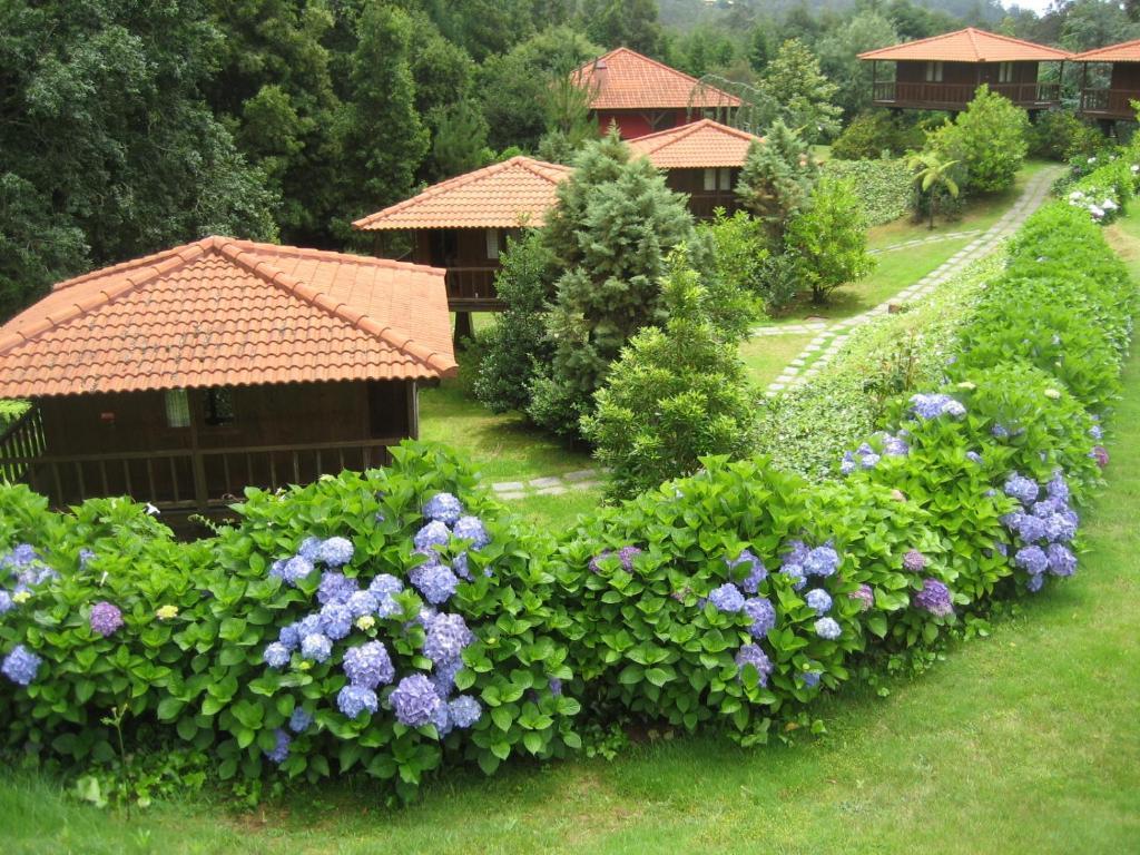 Quinta Das Eiras Santo Antonio da Serra Bagian luar foto